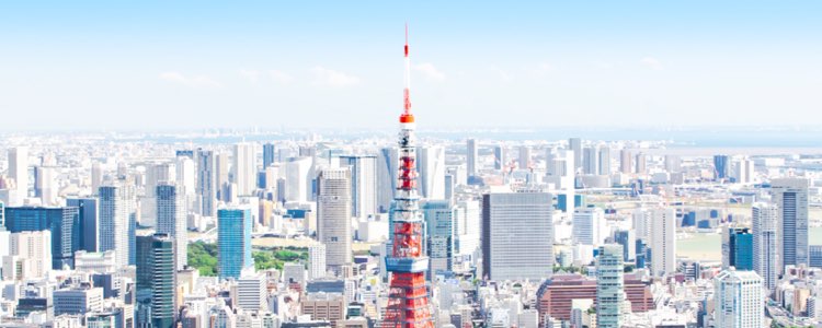 企業情報