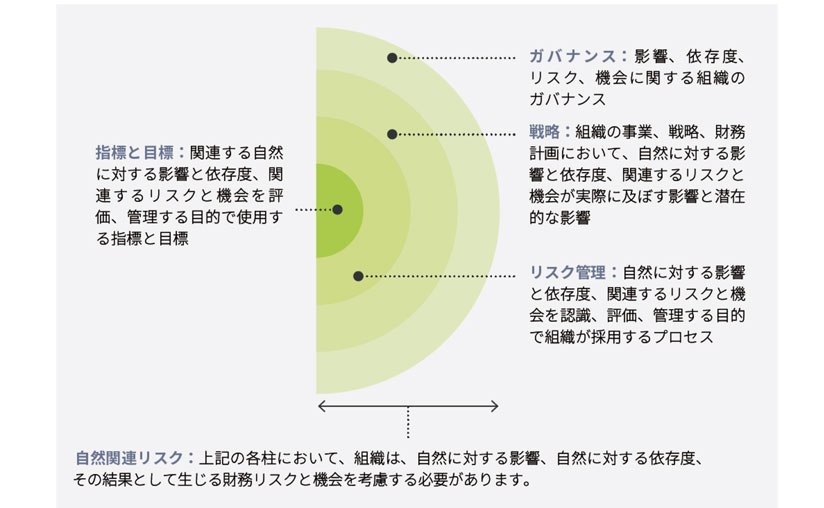 図　自然関連の財務情報開示に関し推奨されるコア要素