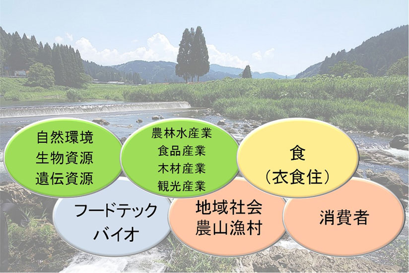 図　自然資源経済・政策室イメージ